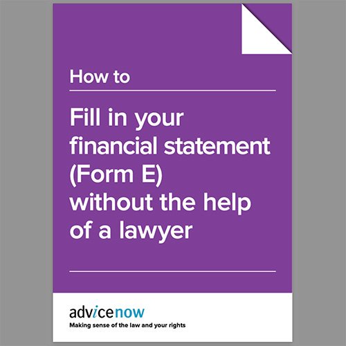 Help Feeling your Financial Statement-Form E