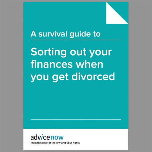 survival_guide_sorting_finances__divorced